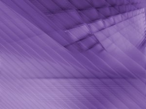 数字技术技巧大全：覆盖生活工作全场景